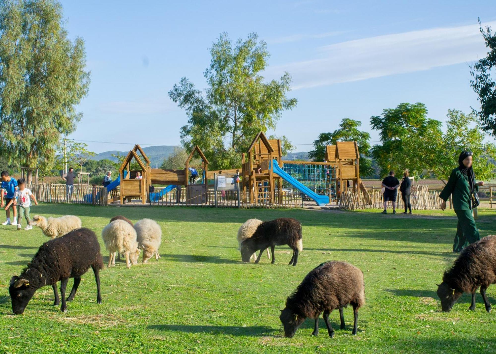 Maison Avec Piscine Location De Vacances Ferme Pedagogique Du Dolmen Le Pouget Zewnętrze zdjęcie